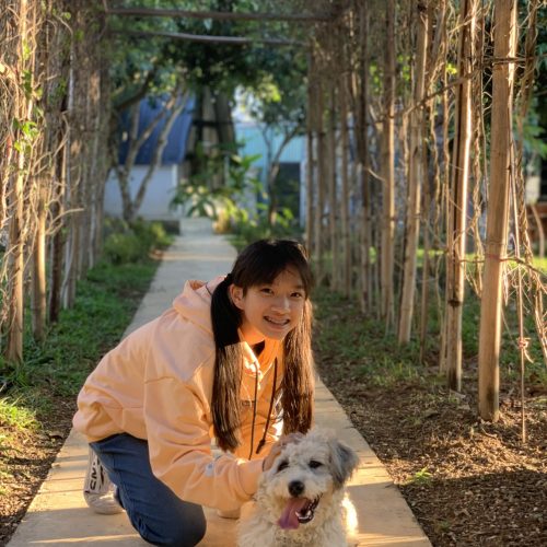 linh vơi thú cưng linh vơi thú cưng